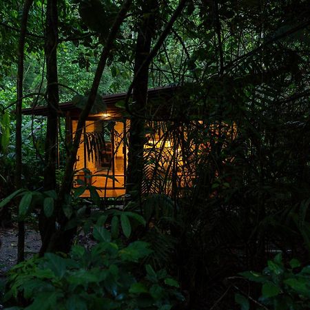 Hamadryade Lodge Puerto Misahuallí Eksteriør billede
