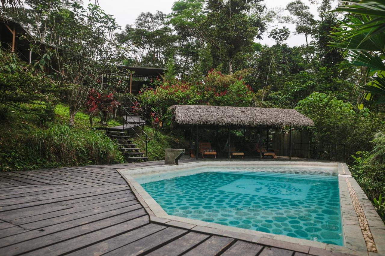 Hamadryade Lodge Puerto Misahuallí Eksteriør billede