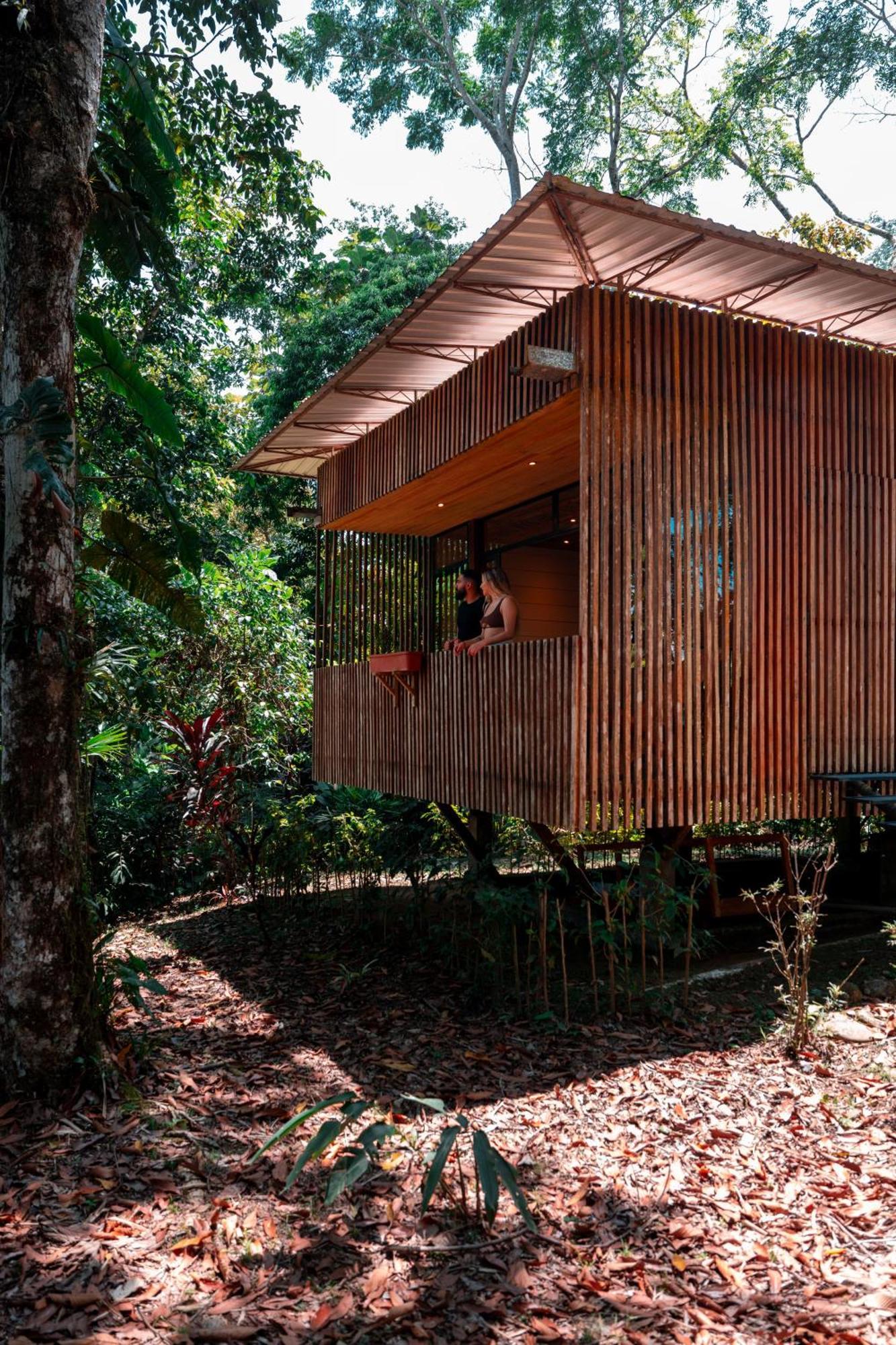 Hamadryade Lodge Puerto Misahuallí Eksteriør billede