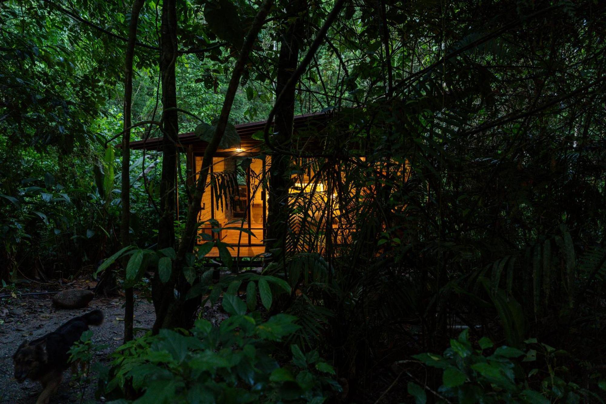 Hamadryade Lodge Puerto Misahuallí Eksteriør billede